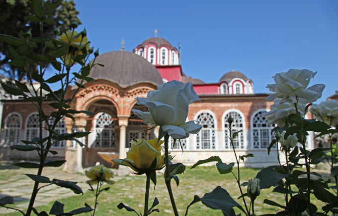 roses and cypress and church